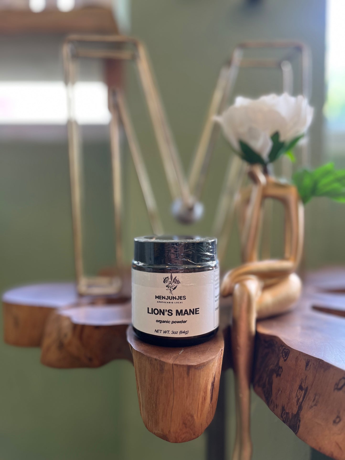 Mushrooms Powders Menjunjes: Lions Mane