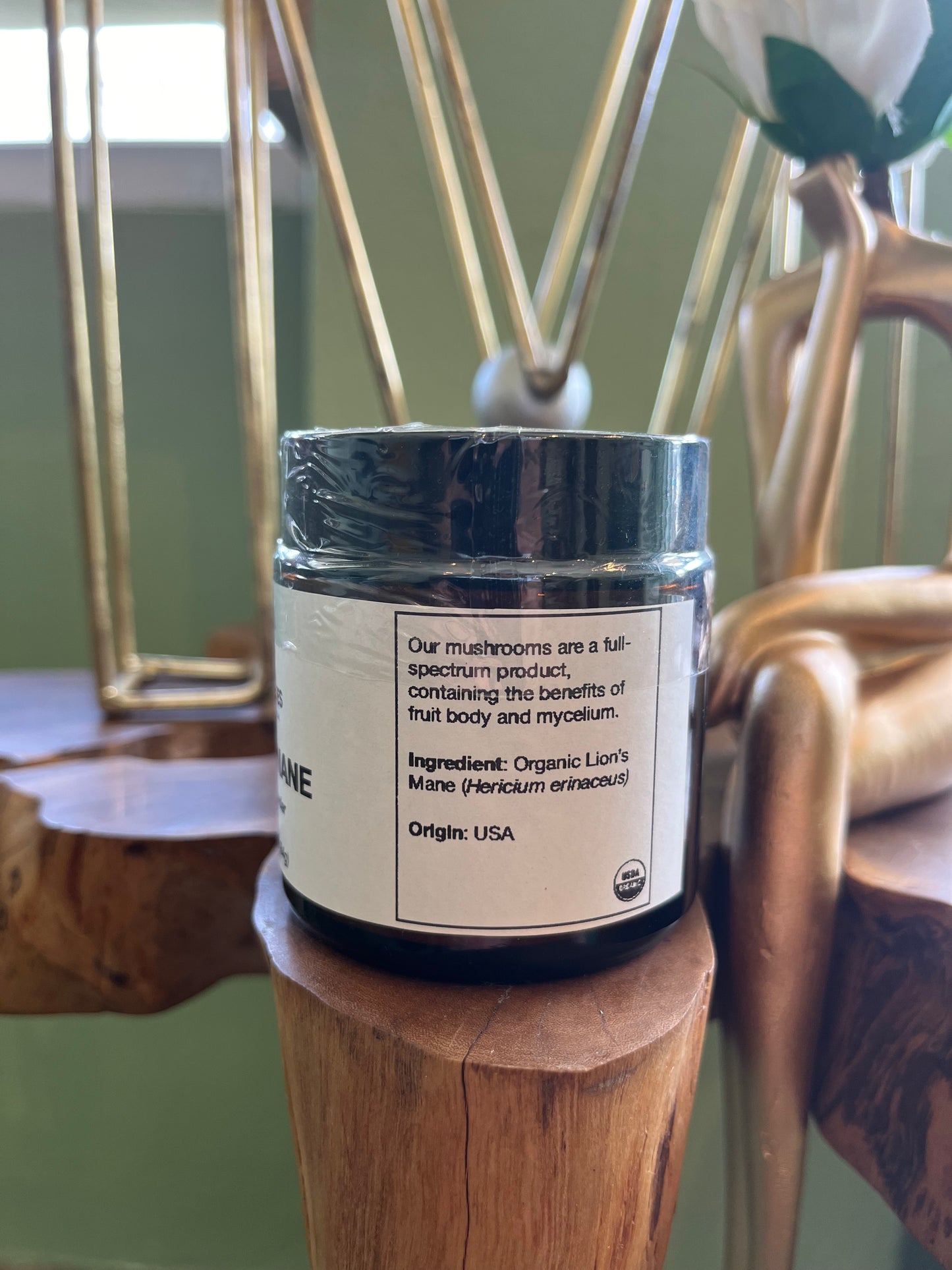 Mushrooms Powders Menjunjes: Lions Mane