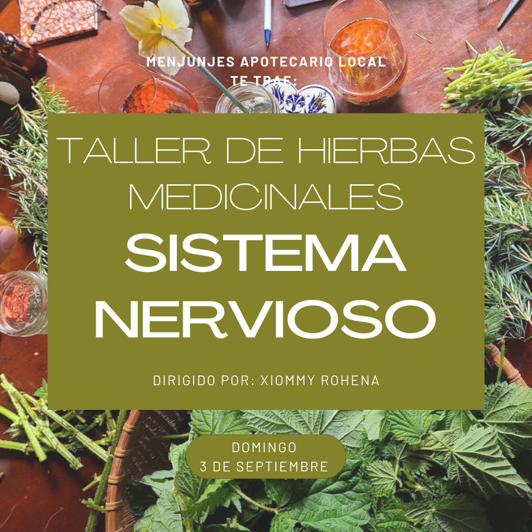 Taller: Sistema Nervioso