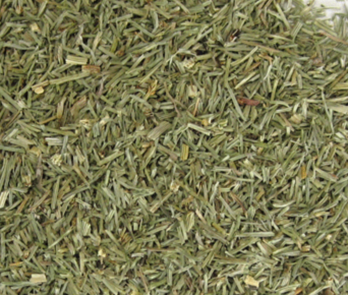 Horsetail (Equisetum arvense)