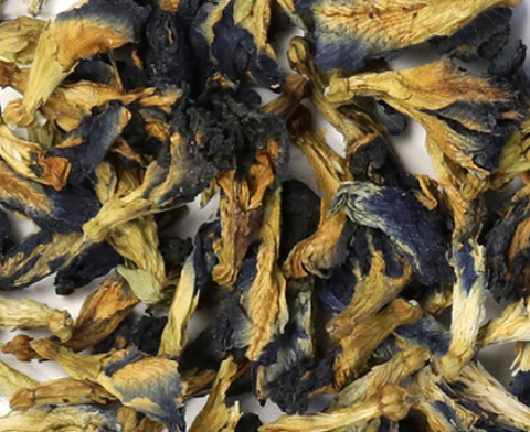 Butterfly Pea Flower (Clitoria ternatea)