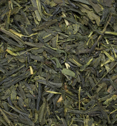 Green Tea (Camellia sinensis)