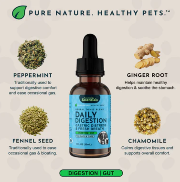 Animal Essentials: Daily Digestion