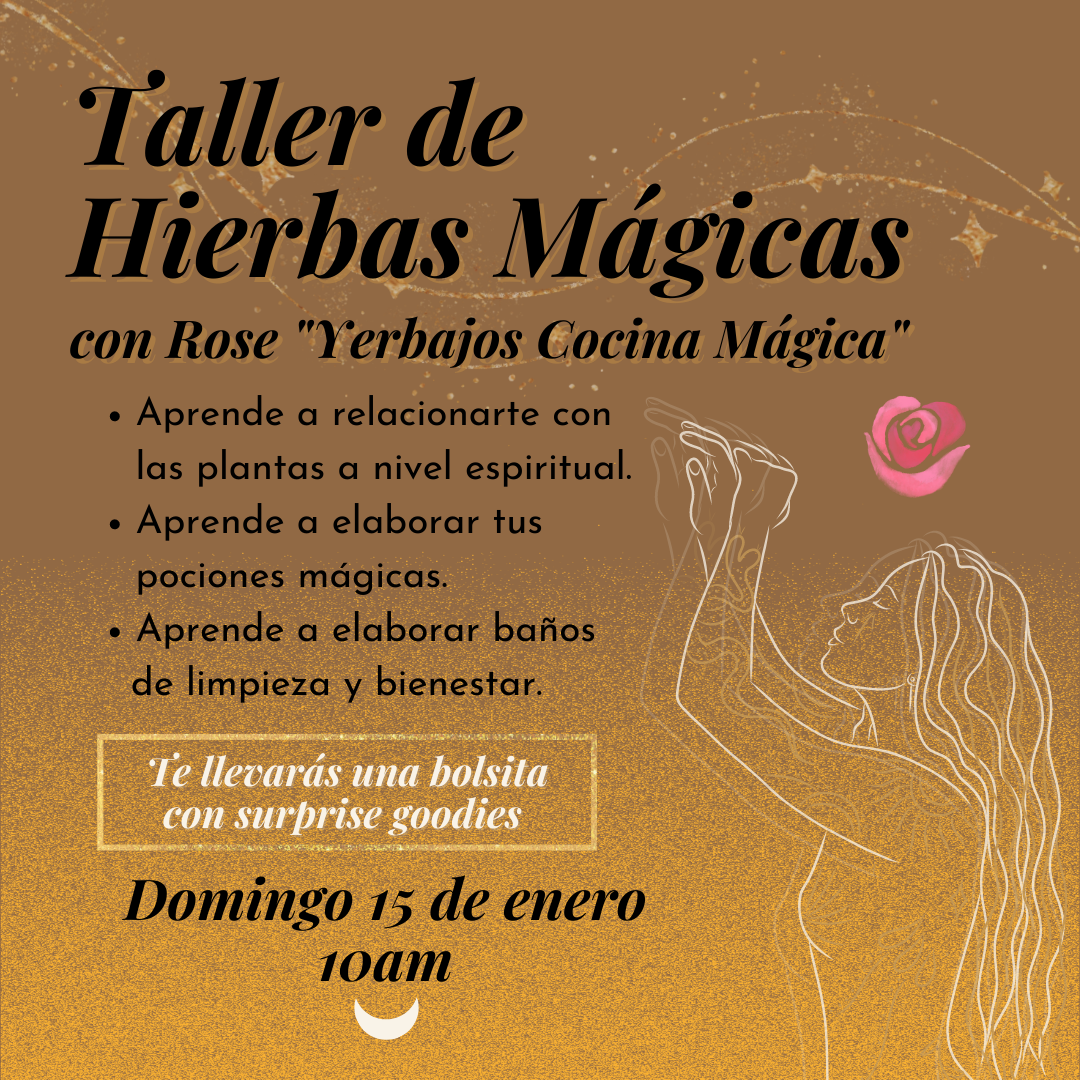 Taller: Hierbas Mágicas