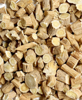 Astragalus (Astragalus membranaceous)