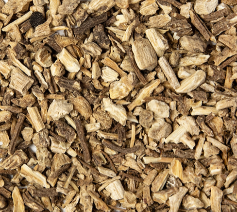 Angelica (Angelica archangelica)