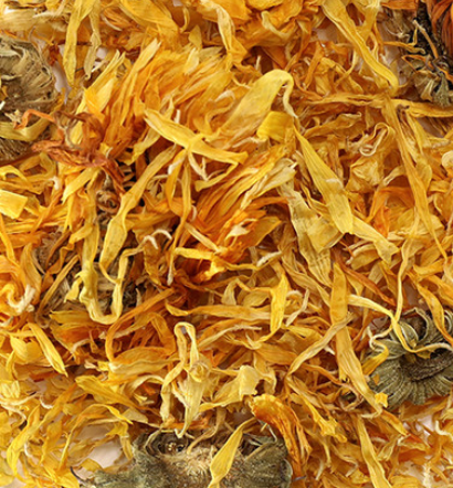 Calendula (Calendula officinalis)