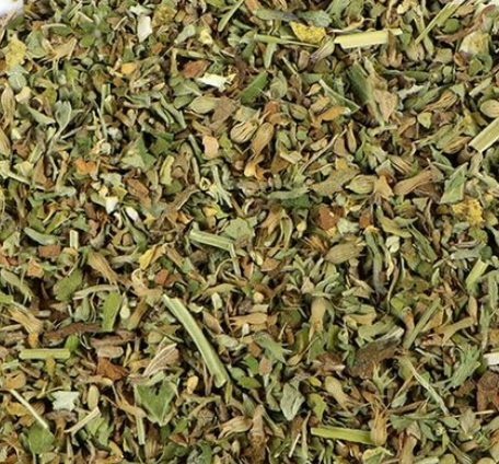 Catnip (Nepeta cataria)