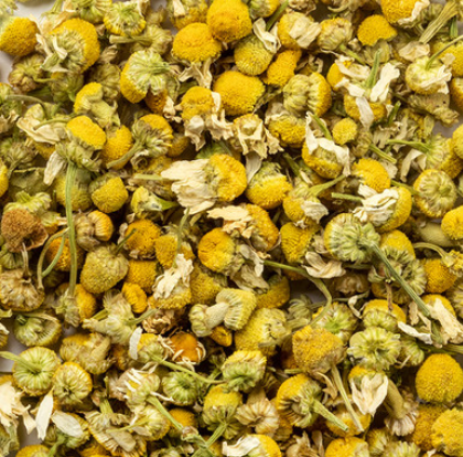 Chamomile (Matricaria chamomilla)