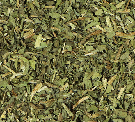 Dandelion Leaf (Taraxacum officinale)