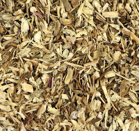 Echinacea Root (Echinacea purpurea)