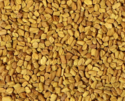 Fenugreek (Trigonella fouenum-graceum)