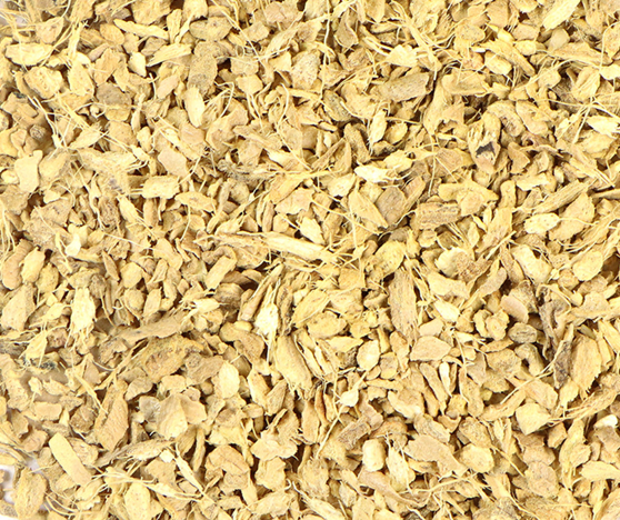 Ginger (Zingiber officinale)