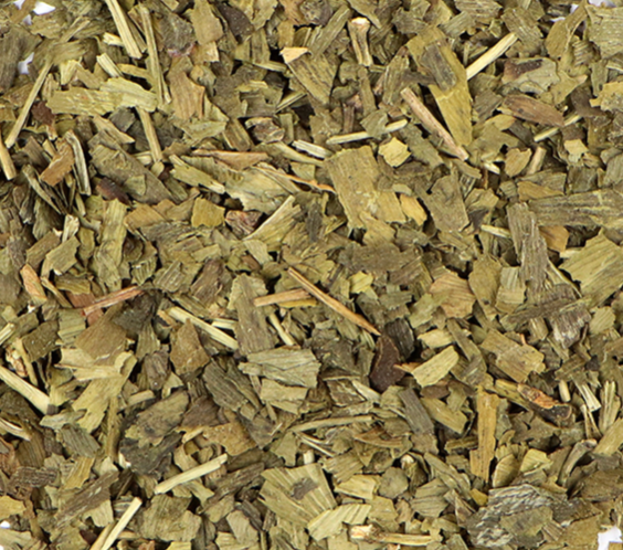 Gingko (Ginkgo biloba)