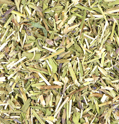 Hyssop (Hyssopus officinalis)