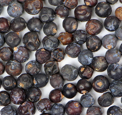 Juniper Berries (Juniperus Communis)