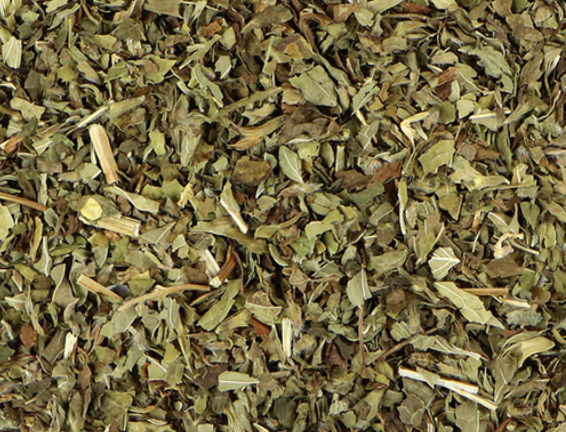 Lemon Balm (Melissa officinalis)