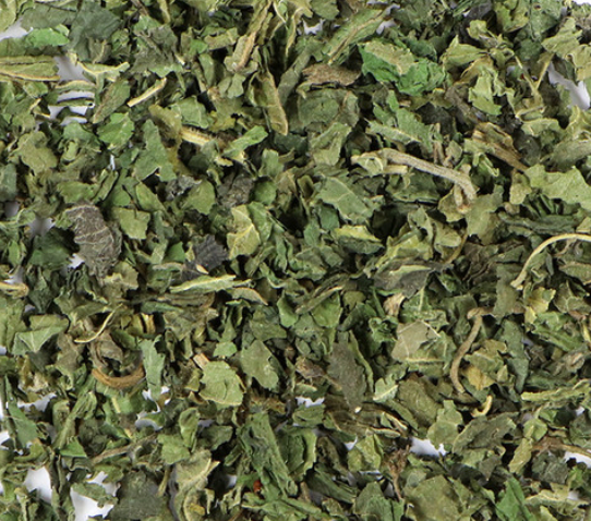 Nettle (Urtica dioica)