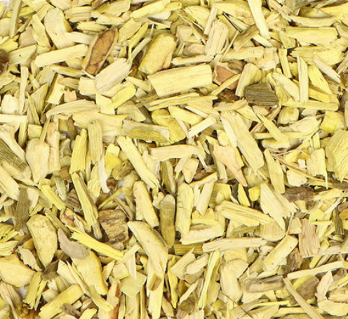 Oregon grape (Berberis aquifolium)