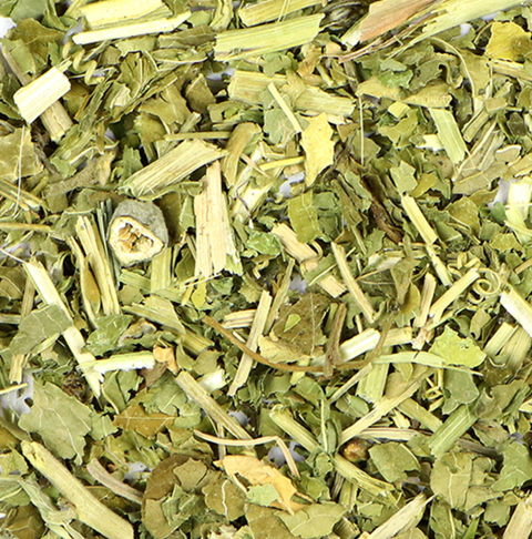 Passion flower (Passiflora incarnata)