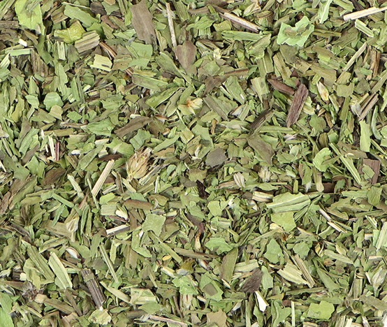 Plantain (Plantago spp)