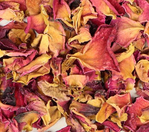 Rose Petals (Rosa spp)