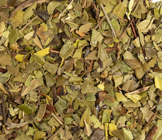 Uva Ursi (Arctostaphylos uva-ursi)