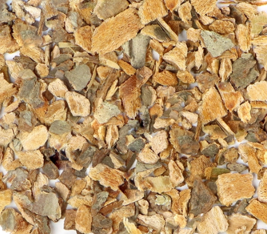 Wild Cherry (Prunus serotina)