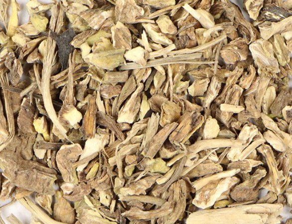 Yellow dock (Rumex crispus)