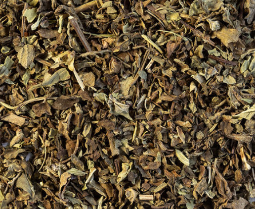 Basil (Ocimum basilicum)