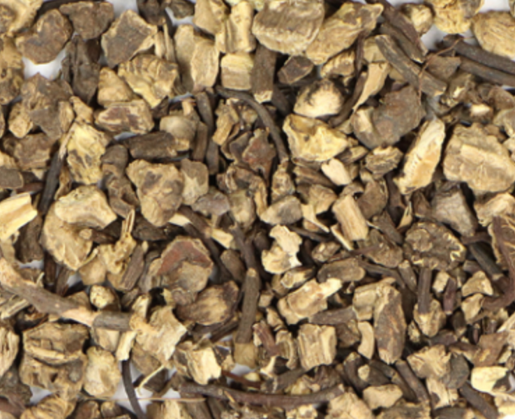 Black Cohosh (Actaea racemosa)