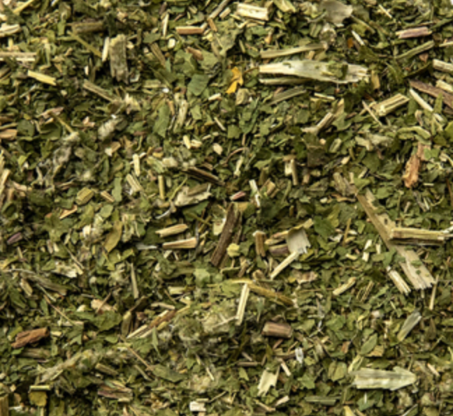 Blessed Thistle (Cnicus benedictus)