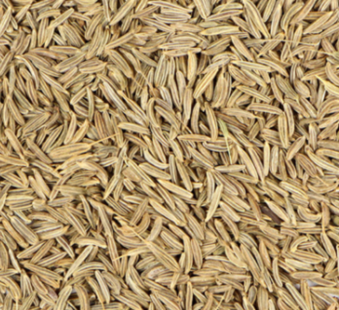 Caraway (Carum carvi)