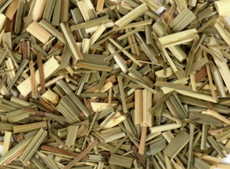 Lemongrass (Cymbopogon)