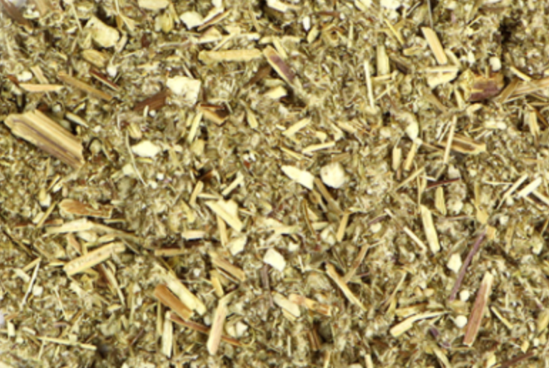 Mugwort (Artemisia vulgaris)