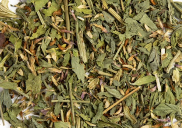 Red Clover (Trifolium pratense)