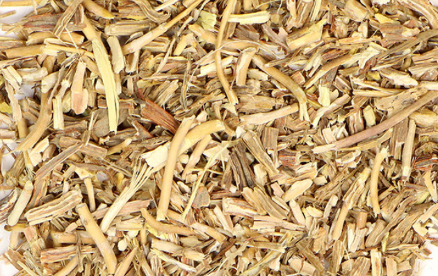 Sarsaparilla (Smilax ornata)