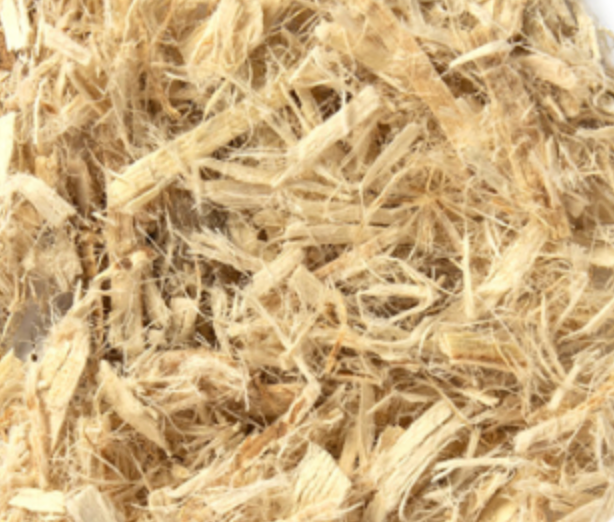 Slippery Elm (Ulmus rubra)