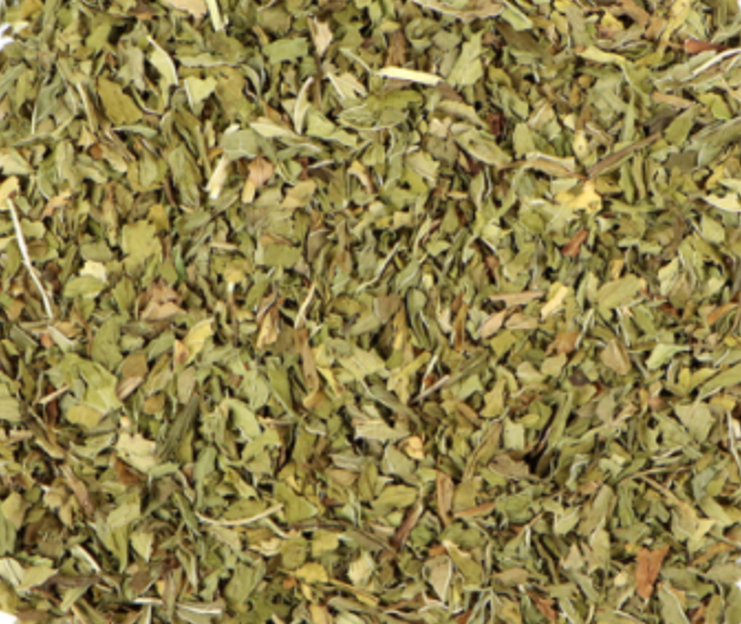 Spearmint (Mentha spicata)