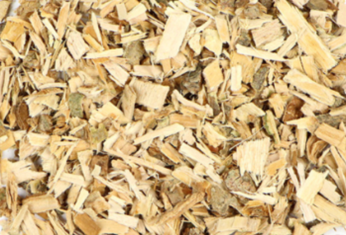 White willow (Salix alba)