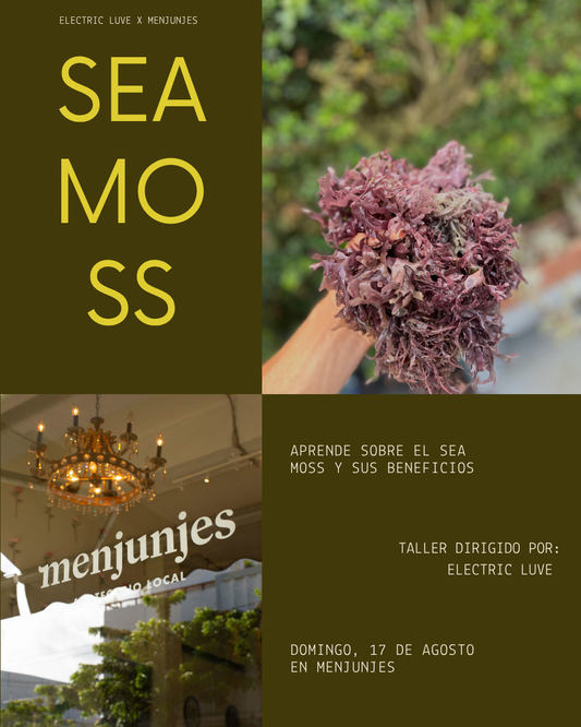 Taller de Sea Moss con Electric Luve