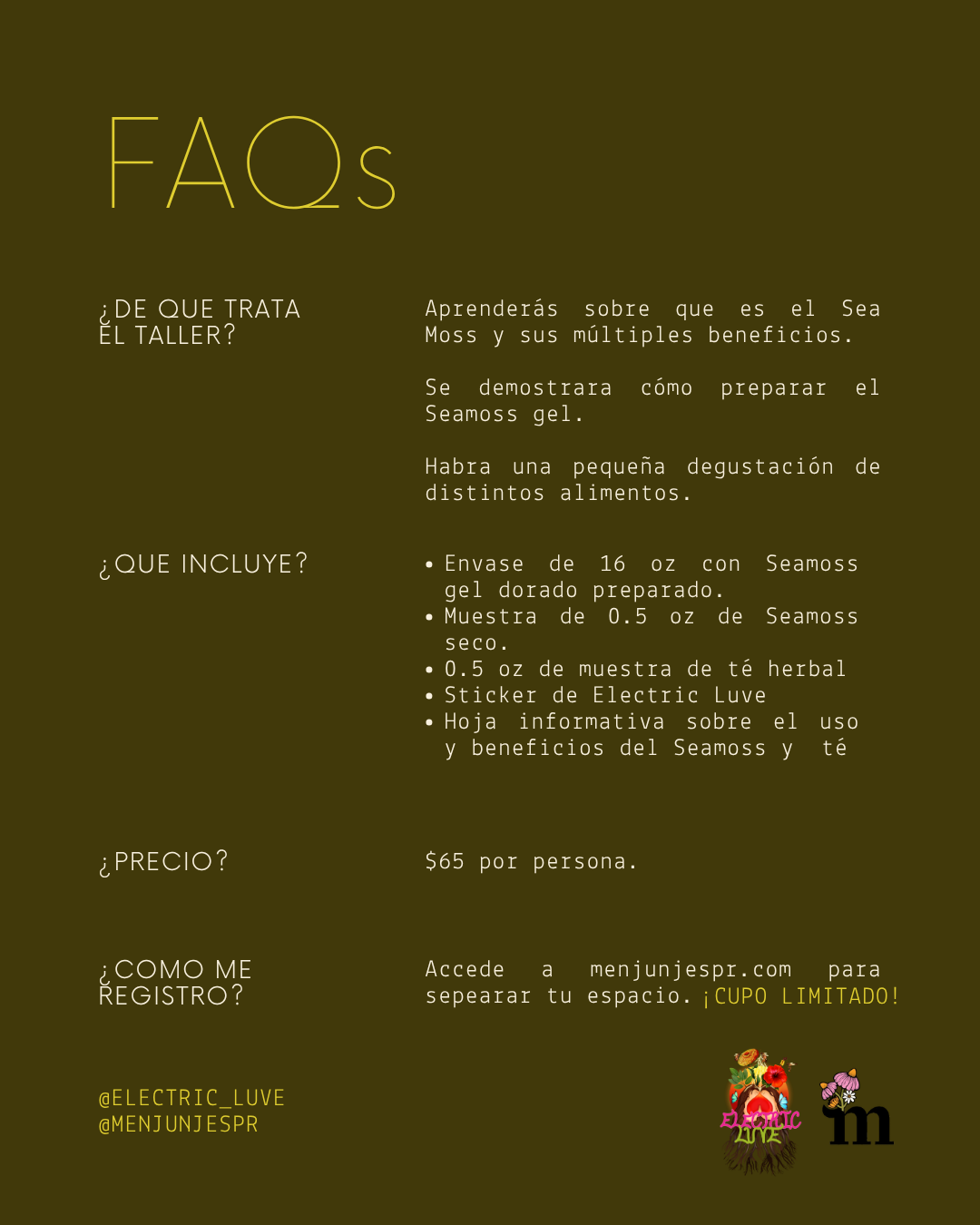 Taller de Sea Moss con Electric Luve