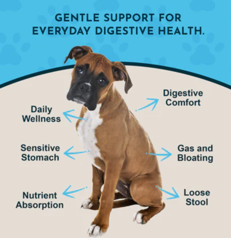 Animal Essentials: Daily Digestion