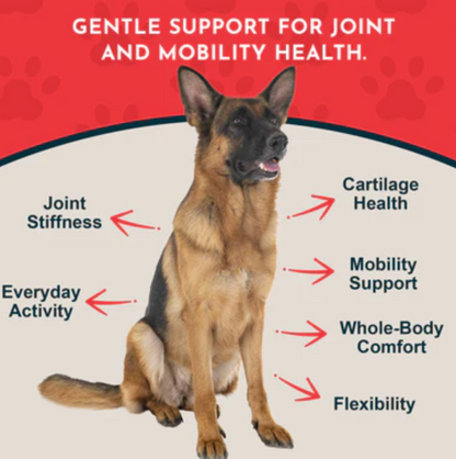 Animal Essentials: Joint Support