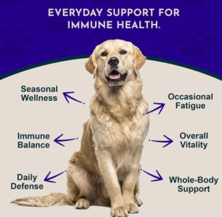 Animal Essentials: Super Immune