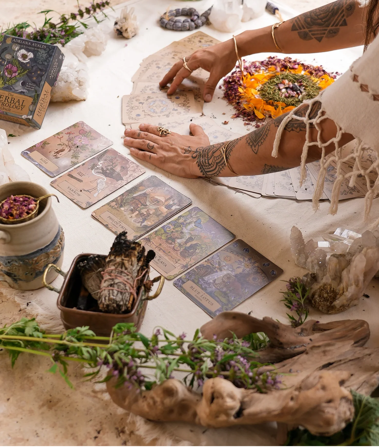 Anima Mundi HERBAL ASTROLOGY Oracle | Pocket Size (SOLO PARA PICK-UP)
