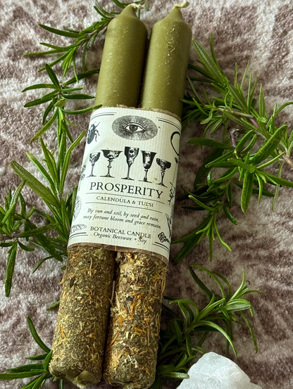 Anima Mundi Prosperity Candle (SOLO PARA PICK-UP)