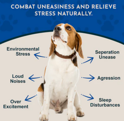 Animal Essentials: Tranquility
