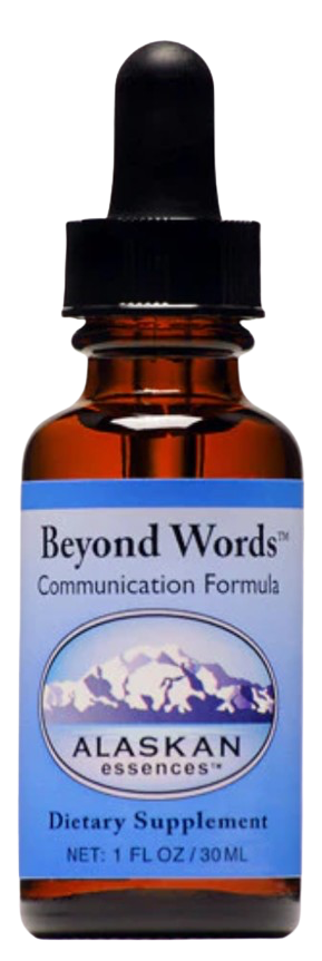 Alaskan Essences: Beyond Words