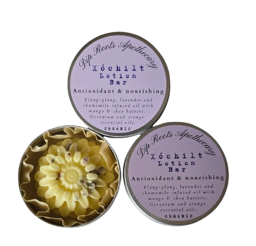 Dip Roots: Xochilt Lotion Bar
